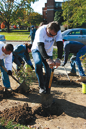 Volunteerdig.jpeg